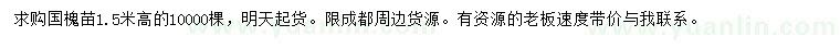 求購高1.5米國槐