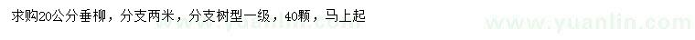求購20公分垂柳