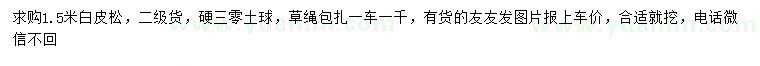 求購1.5米白皮松