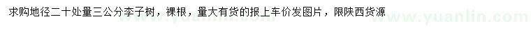求購20量3公分李子樹
