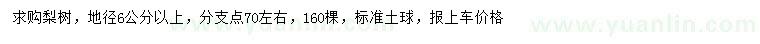求購地徑6公分以上梨樹