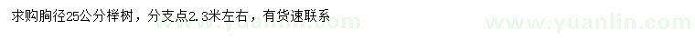 求購胸徑25公分櫸樹