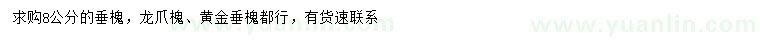 求購(gòu)垂槐、龍爪槐、黃金垂槐