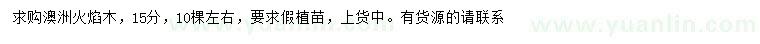 求購15公分澳洲火焰木