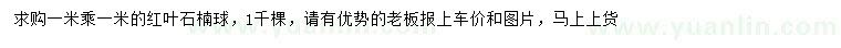 求購1米紅葉石楠球