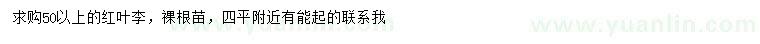 求購50公分以上紅葉李