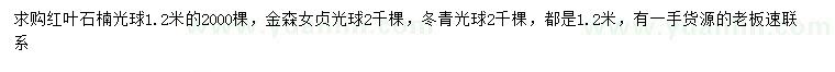 求購(gòu)紅葉石楠球、金森女貞球、冬青球