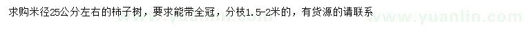 求購米徑25公分左右柿子樹