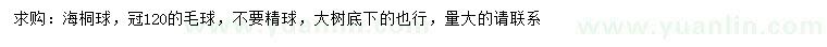 求購冠120公分海桐球