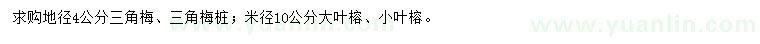 求購三角梅、三角梅樁、大葉榕等