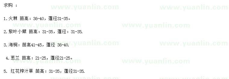 求購火棘、紫葉小檗、海桐等