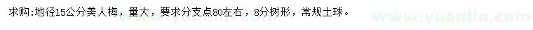 求購地徑15公分美人梅