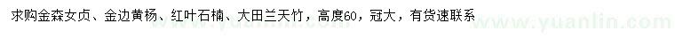 求購金森女貞、金邊黃楊、紅葉石楠等