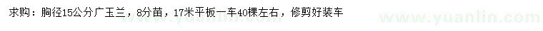 求購胸徑15公分廣玉蘭