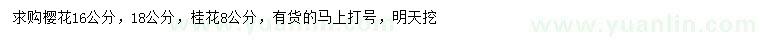 求購16、18公分櫻花、8公分桂花