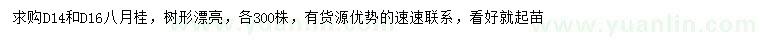 求購地徑14、16公分八月桂		