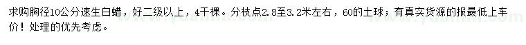 求購胸徑10公分速生白蠟