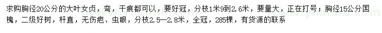 求購胸徑20公分大葉女貞、胸徑15公分國槐