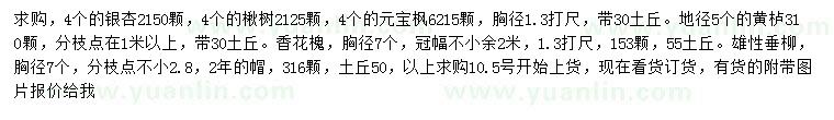 求購銀杏、楸樹、元寶楓等