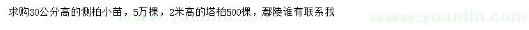 求購高30公分側(cè)柏小苗、高2米塔柏