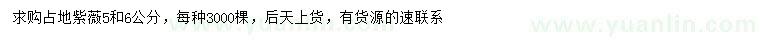求購5、6公分紫薇
