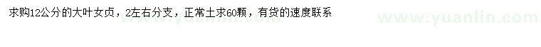 求購12公分大葉女貞