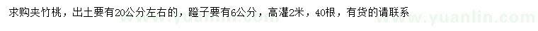 求購出土量20公分左右夾竹桃