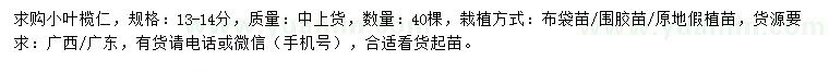 求購13-14公分小葉欖仁