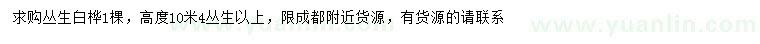 求購高10米叢生白樺