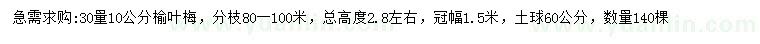 求購30量10公分榆葉梅
