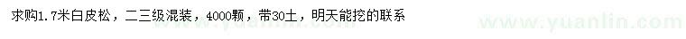 求購1.7米白皮松