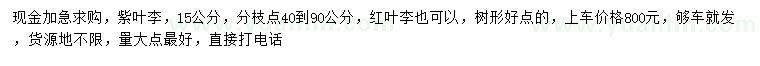 求購15公分紫葉李