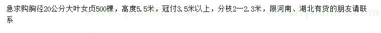 求購胸徑20公分大葉女貞