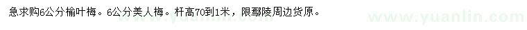 求購(gòu)6公分榆葉梅、美人梅