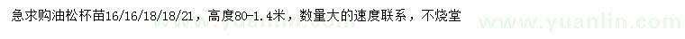 求購(gòu)高0.8-1.4米油松