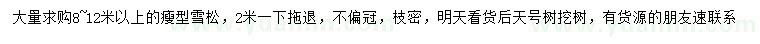 求購8-12米以上雪松
