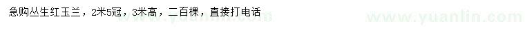 求購(gòu)高3米叢生紅玉蘭