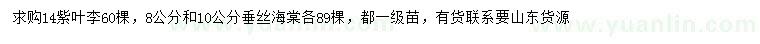 求購(gòu)14公分紫葉李、8、10公分垂絲海棠