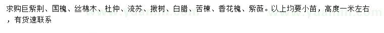 求購(gòu)巨紫荊、國(guó)槐、絲棉木等