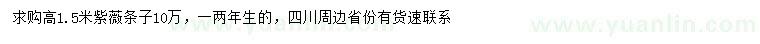 求購高1.5米紫薇條子