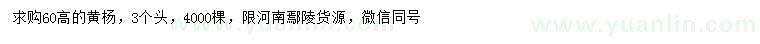 求購(gòu)高60公分黃楊