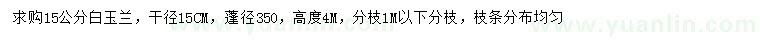 求購15公分白玉蘭		