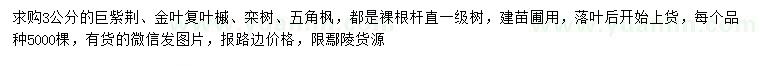 求購巨紫荊、金葉復(fù)葉槭、欒樹等