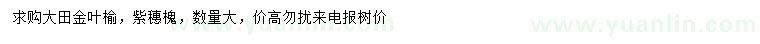 求購金葉榆、紫穗槐
