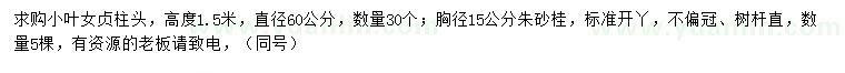 求購高1.5米小葉女貞柱