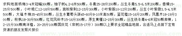 求購楊梅、柚子樹、冬青等