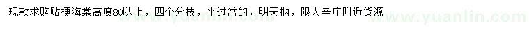 求購高80公分以上貼梗海棠