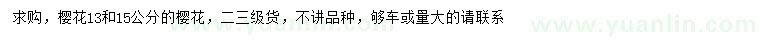 求購13、15公分櫻花