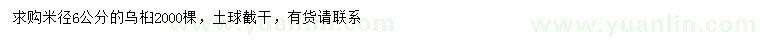 求購米徑6公分烏桕