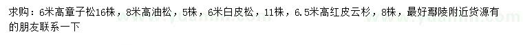 求購樟子松、油松、白皮松等